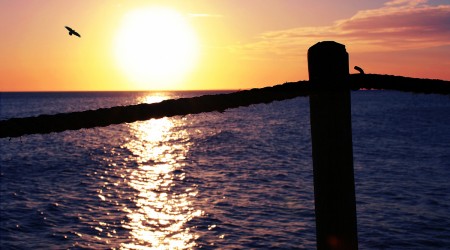 Chasing the sun